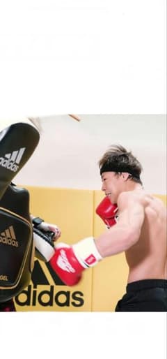 アディダス adidas FLX 3.0 スーパーボディプロテクター - メルカリ