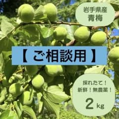 【ご相談用】6/13収穫予定 梅 岩手県産 2kg 【即日発送】 即購入OK】 5/31収穫予定 梅 岩手県産 2kg 【即日発送】 - メルカリ