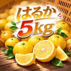 SALE! 훨씬 4.5kg 번역 있음 가정용