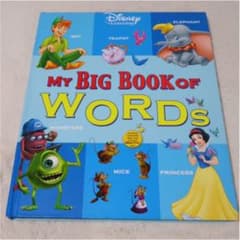My big book of wordsのサムネイル