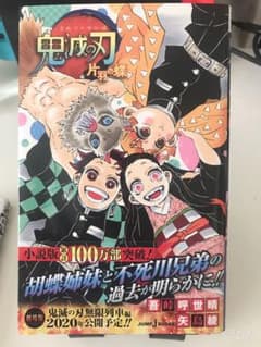 鬼滅の刃 片羽の蝶のサムネイル