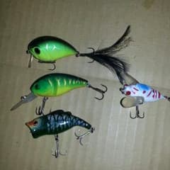 太郎様専用のサムネイル