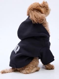 GAP ロゴ 犬 服 パーカー ヘビーウェイト 新品 Sサイズ ブラックのサムネイル