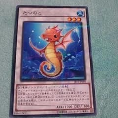 たつのこのサムネイル