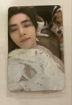 WayV 威神V vision wings XIAOJUN シャオジュン トレカ - メルカリ