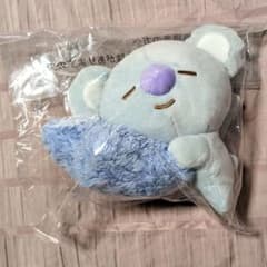 BT21 MOON KOYA 봉제인형 BTS RM