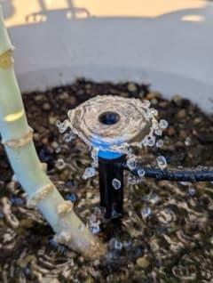 自動水やり器 40個セットのサムネイル