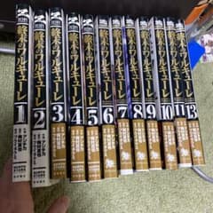 終末のワルキューレ 1〜11.13のサムネイル