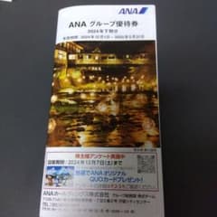 ANAグルーブ株主優待券 18枚のサムネイル