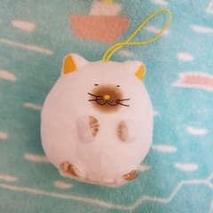 でぶねこのサムネイル