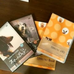 4点セット!犬のしつけ教室のサムネイル