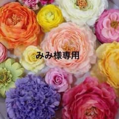 アルビオン エクサージュ  サンプルのサムネイル