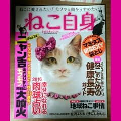 ねこ自身のサムネイル