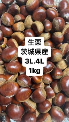生栗　茨城県産　3L.4L    1kgのサムネイル