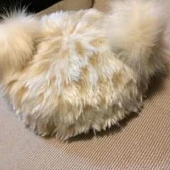 クマ耳ふわふわベレー帽 ワンスポのサムネイル
