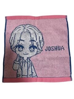 SEVENTEEN PetiTEEN 이치 반 쿠지 핸드 타월 조슈아