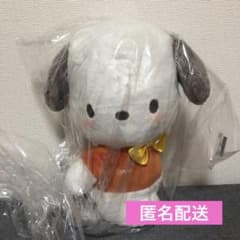 ポチャッコ　レトロチックカラー BIGぬいぐるみ　サンリオ