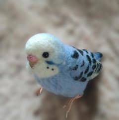 リアル セキセイインコ 中雛 オパーリン オーダー品 リアル セキセイインコ 中雛 オパーリン オーダー品 - メルカリ