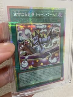 遊戯王 完全なる世界 トゥーン・ワールド 【PSE】 RV01-JP006 - メルカリ