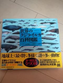 世界のクジラ・イルカ百科図鑑のサムネイル