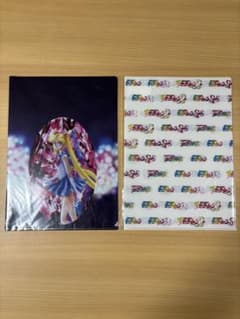 Pretty Guardian Sailor Moon Museum Original Clear File Set (2 pieces)