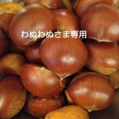 わぬわぬさま専用　ご予約丹波栗　１kgのサムネイル