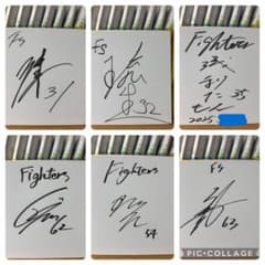 柴田獅子 北海道日本ハムファイターズ直筆サインボール & 球団公認直筆サイン色紙 北海道日本ハムファイターズ 柴田獅子 直筆サイン - メルカリ