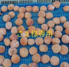 さえ様専用のサムネイル