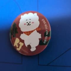 BT21 RJ 캔 배지