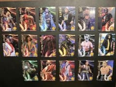 新日本プロレス トレーディングカード 17種セットのサムネイル
