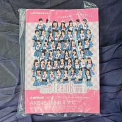 トヨタ純正 HDDナビ NHZD-W62G AKB48 Team 8 取扱書 - メルカリ