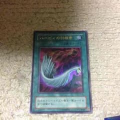 ハーピィの羽根帚のサムネイル