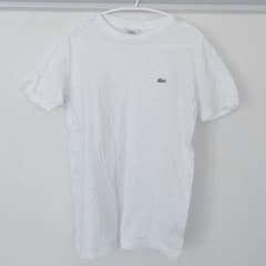 LACOSTE ラコステ Tシャツのサムネイル