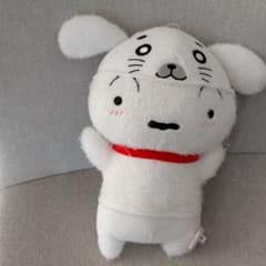 SHIROGOMA로 엿보이는 고양이 봉제인형 vol.2