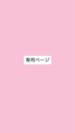 専用ページのサムネイル