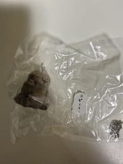 ナガノの水族館　 フィギュアキーホルダー　オオサンショウウオ