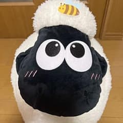 양의 숀