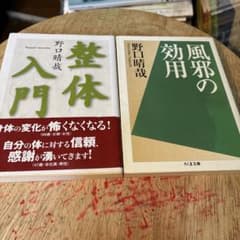整体入門」「風邪の効用」 野口晴哉著 2冊セット - メルカリ