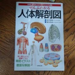 ぜんぶわかる人体解剖図 系統別・部位別にわかりやすくビジュアル解説のサムネイル