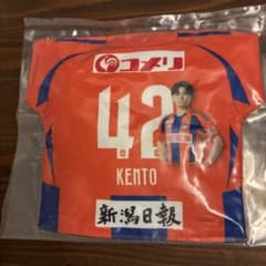 アルビレックス新潟 橋本健人 マッチデークッション - メルカリ