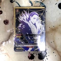 ユニオンアリーナ　クロロ　パラレルレアのサムネイル