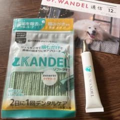 Dr.WANDELとカンデル ソフトタイプ 15本入りのサムネイル