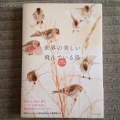 世界の美しい飛んでいる鳥(愛蔵ポケット版)のサムネイル