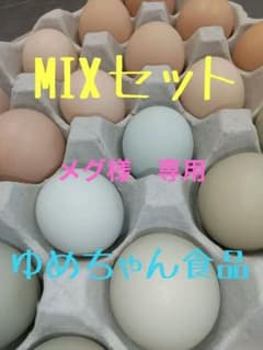 メグ様 専用出品 ネラ あすなろ 烏骨鶏 鶏卵 ゆめちゃん食品 - メルカリ