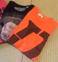 お値下げしました。ＤI E S ELのTシャツ2枚のサムネイル