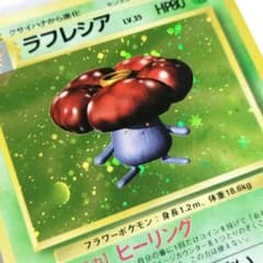旧裏 ラフレシア ☆ 十字ホロ 大玉ホロ ジャングル ヒーリング はなび