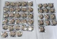 センラ フライングゲット 41点のサムネイル