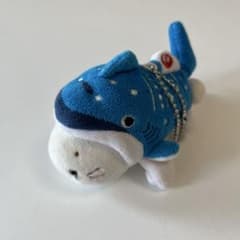 × JAL しろたんジンベエジェットに変身　ぬいぐるみ 沖縄美ら海水族館×JAL 沖縄美ら海水族館 2 マスコット さくらジンベエザメ しろたん ぬいぐるみ