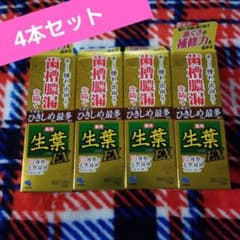 生葉EX(しょうよう)歯磨き粉 4本セットのサムネイル
