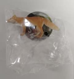 里山のいきもの　キツネのサムネイル